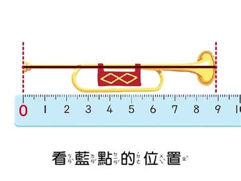 1步幾公分|【一步大約幾公分】一步換算成公分大約多少？揭開最佳步伐公式。